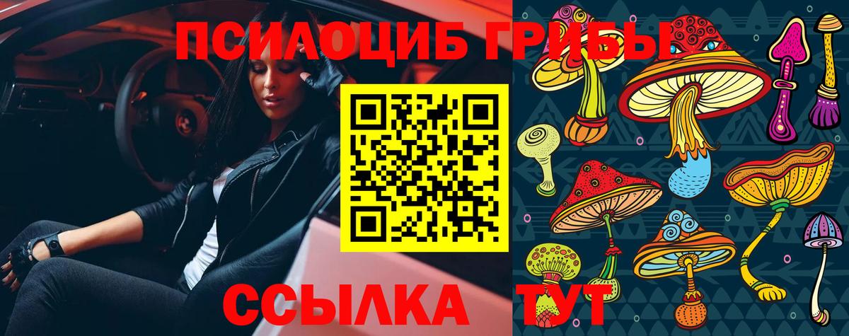 Грязи  Псилоцибиновые грибы мухоморы  Вход с VPN 